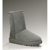 Classique Ugg-026 Classic Short Gris Bottes