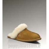 Cozy Ugg-344 Scuffette II chataignier chaussons