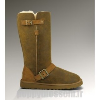 Street Fashion Ugg-157 Grand Dylyn marron classique Bottes