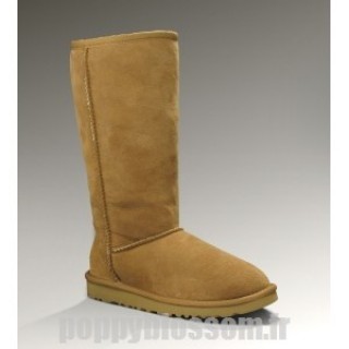 Ugg-029 bottes hautes marron classique