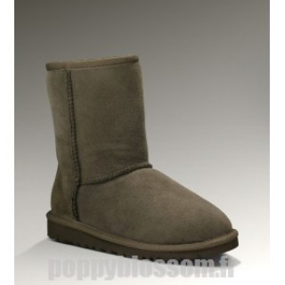 Ugg-033 Classic Short Bottes de chocolat