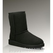 Ugg-037 Classic Short Noir Bottes