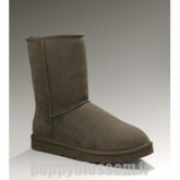 Ugg-058 Classic Short 5800 Bottes de chocolat