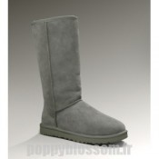 Ugg-168 bottes hautes Classique Gris